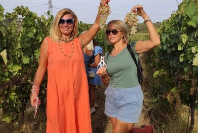 Wine Tasting Tour Experience in an Authentic Frascati Winery