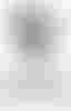  | velomarkt.ch