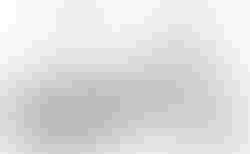 Tern BYB P8 | Tern BYB P8 | velomarkt.ch