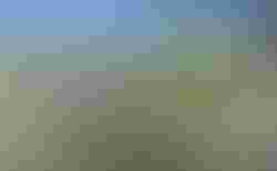 Cube Agree C:62 | Cube Agree C:62 | velomarkt.ch
