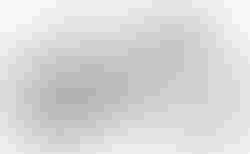 BMC UnReStricted three | BMC UnReStricted three | velomarkt.de