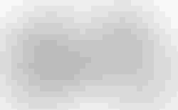 Cube Editor SLX FE | Cube Editor SLX FE | velomarkt.de