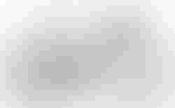 BMC UnReStricted two | BMC UnReStricted two | velomarkt.de