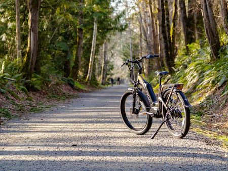 E-Bikes bis 45 kmh bei velomarkt.de kaufen