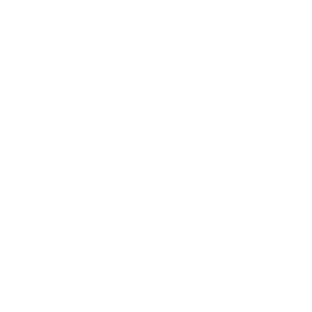 Language Translation Services for Patents