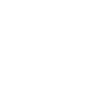 Language Translation Services for Patents