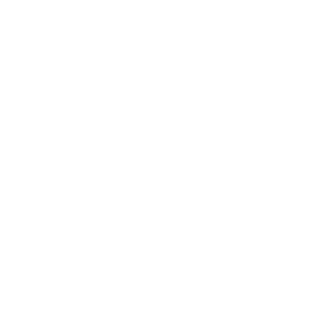 Language Translation Services for Patents