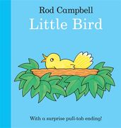 Book cover for Little Bird