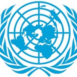 United Nations Security Council