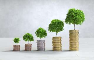Kenali Apa Itu Adaptation Finance, Tantangan & Contohnya, Financial Bestie