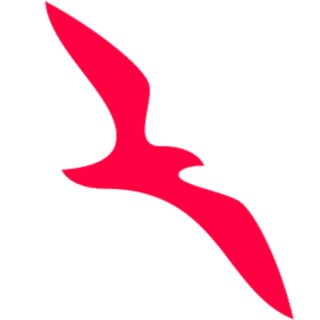 Air Arabia