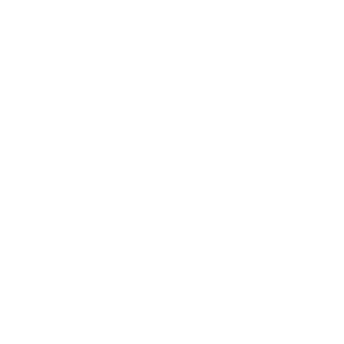 Revenue 365